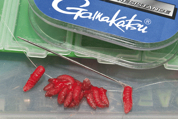 Montura maggot rig 2 - 4.gif